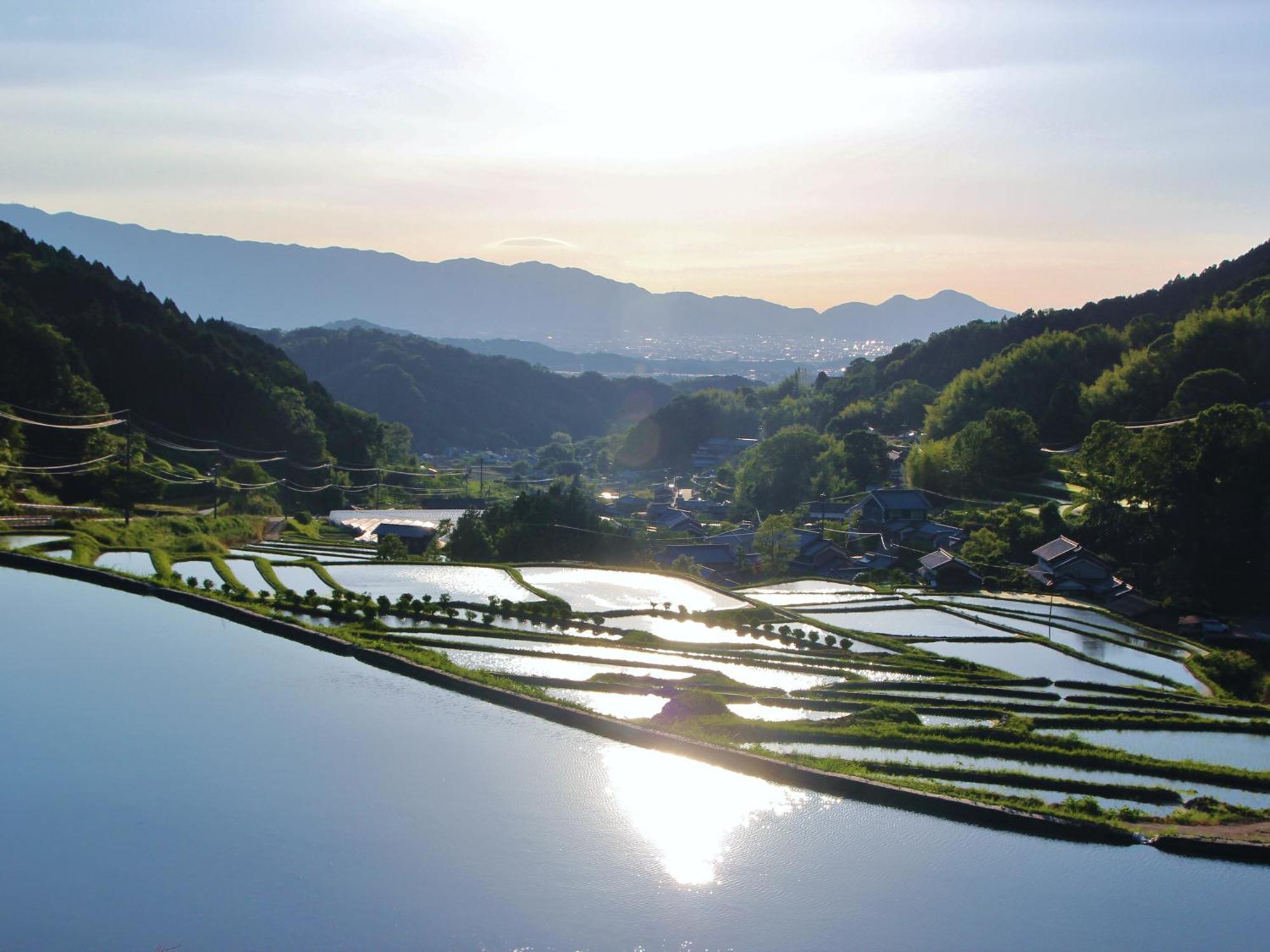 Grand Mercure Nara Kashihara Kasihira Kültér fotó