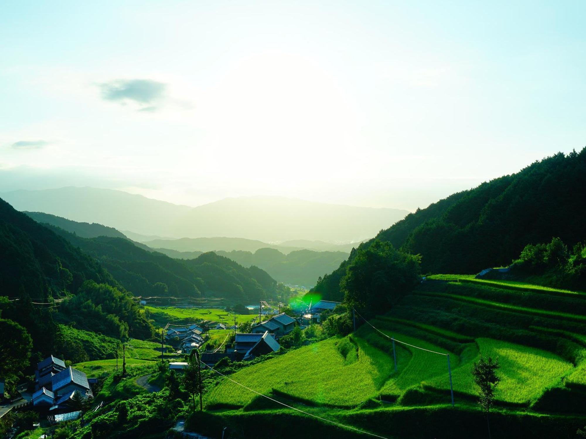 Grand Mercure Nara Kashihara Kasihira Kültér fotó