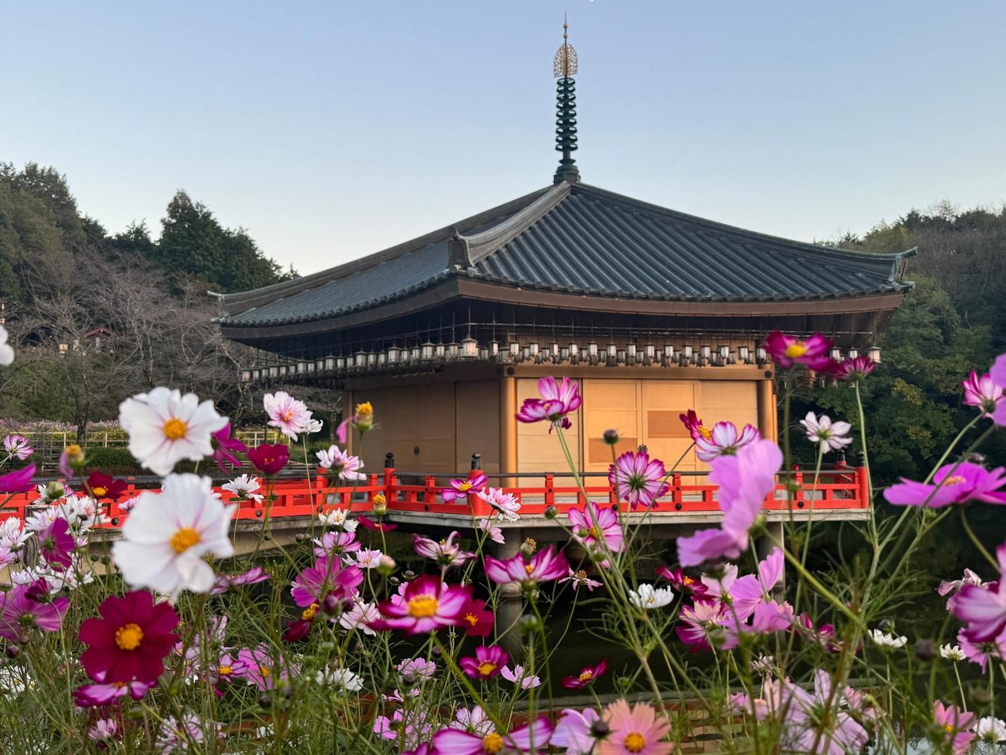 Grand Mercure Nara Kashihara Kasihira Kültér fotó