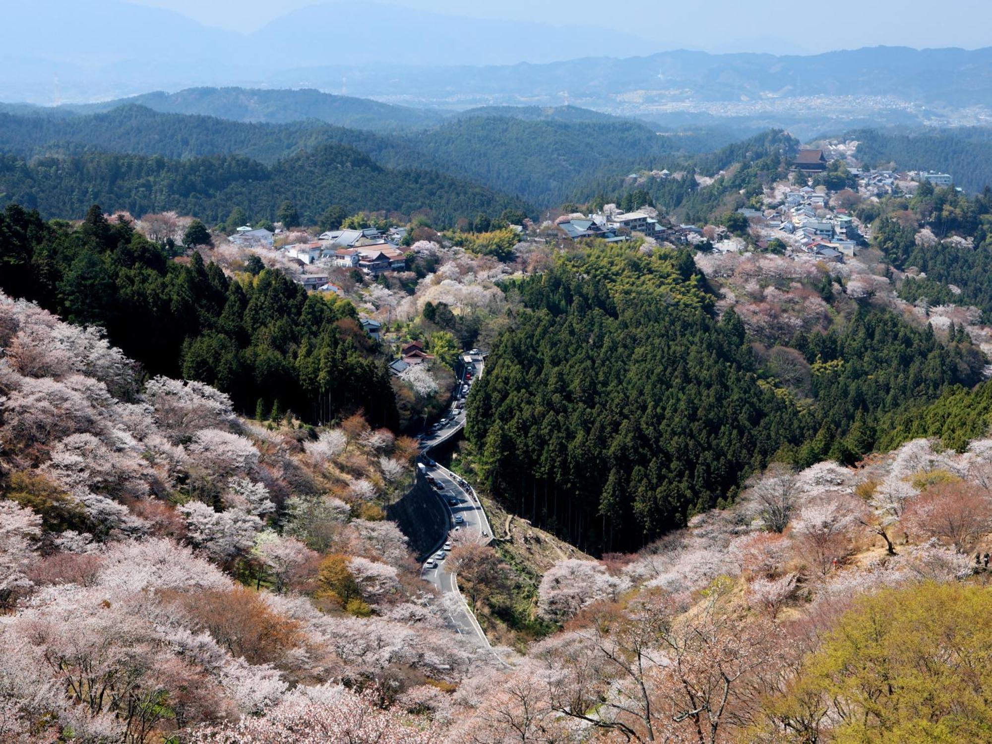 Grand Mercure Nara Kashihara Kasihira Kültér fotó