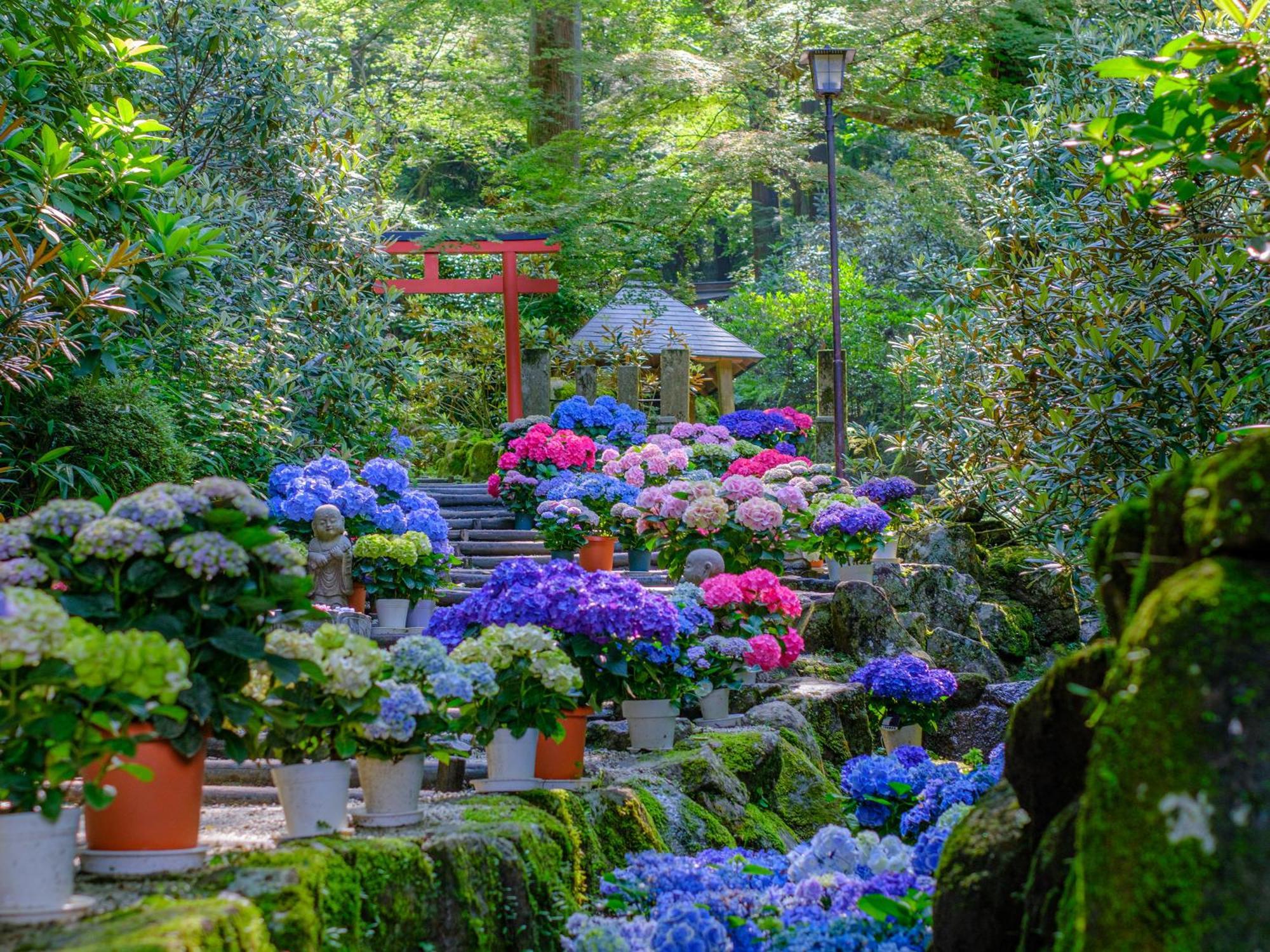 Grand Mercure Nara Kashihara Kasihira Kültér fotó
