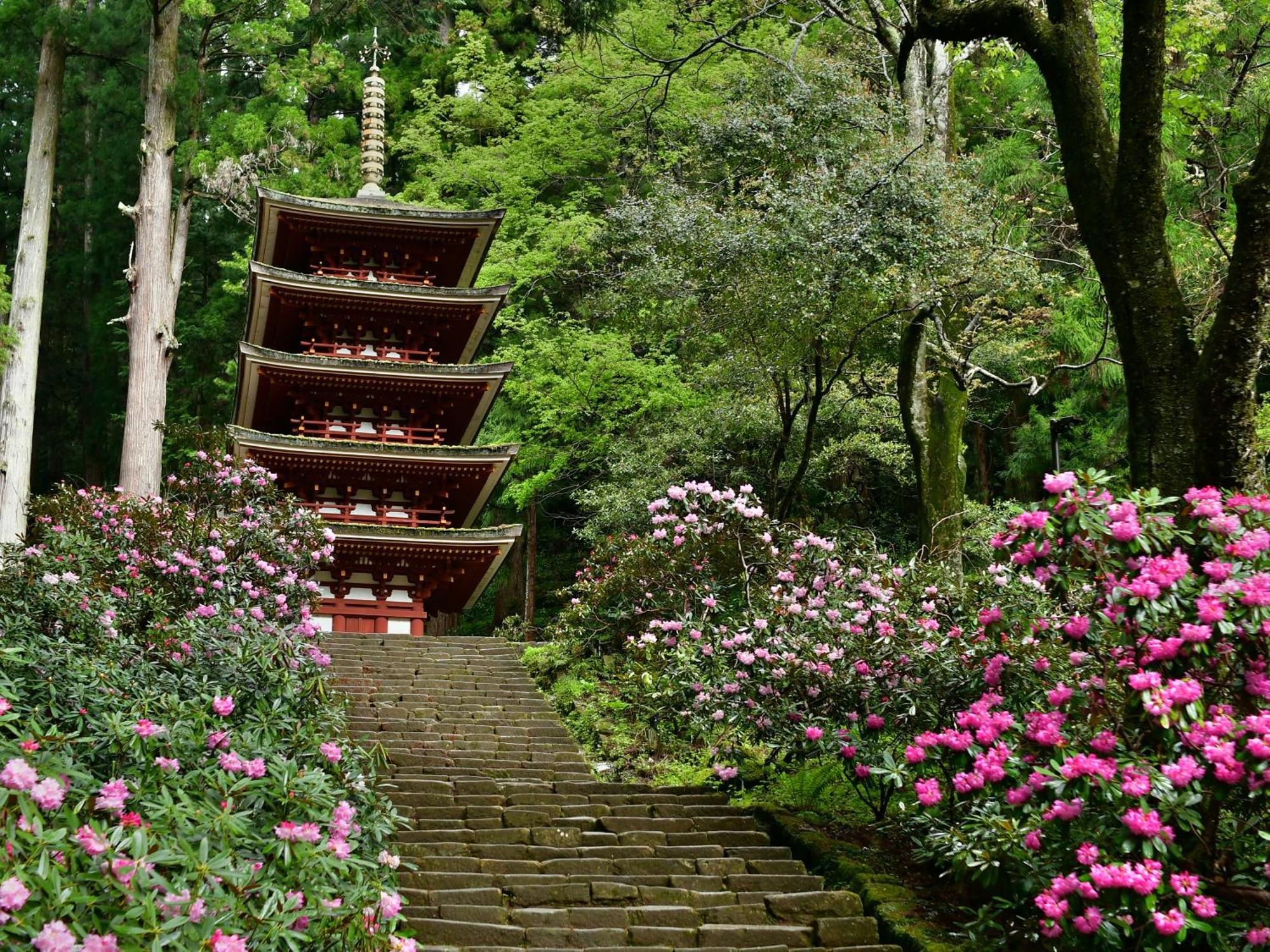 Grand Mercure Nara Kashihara Kasihira Kültér fotó